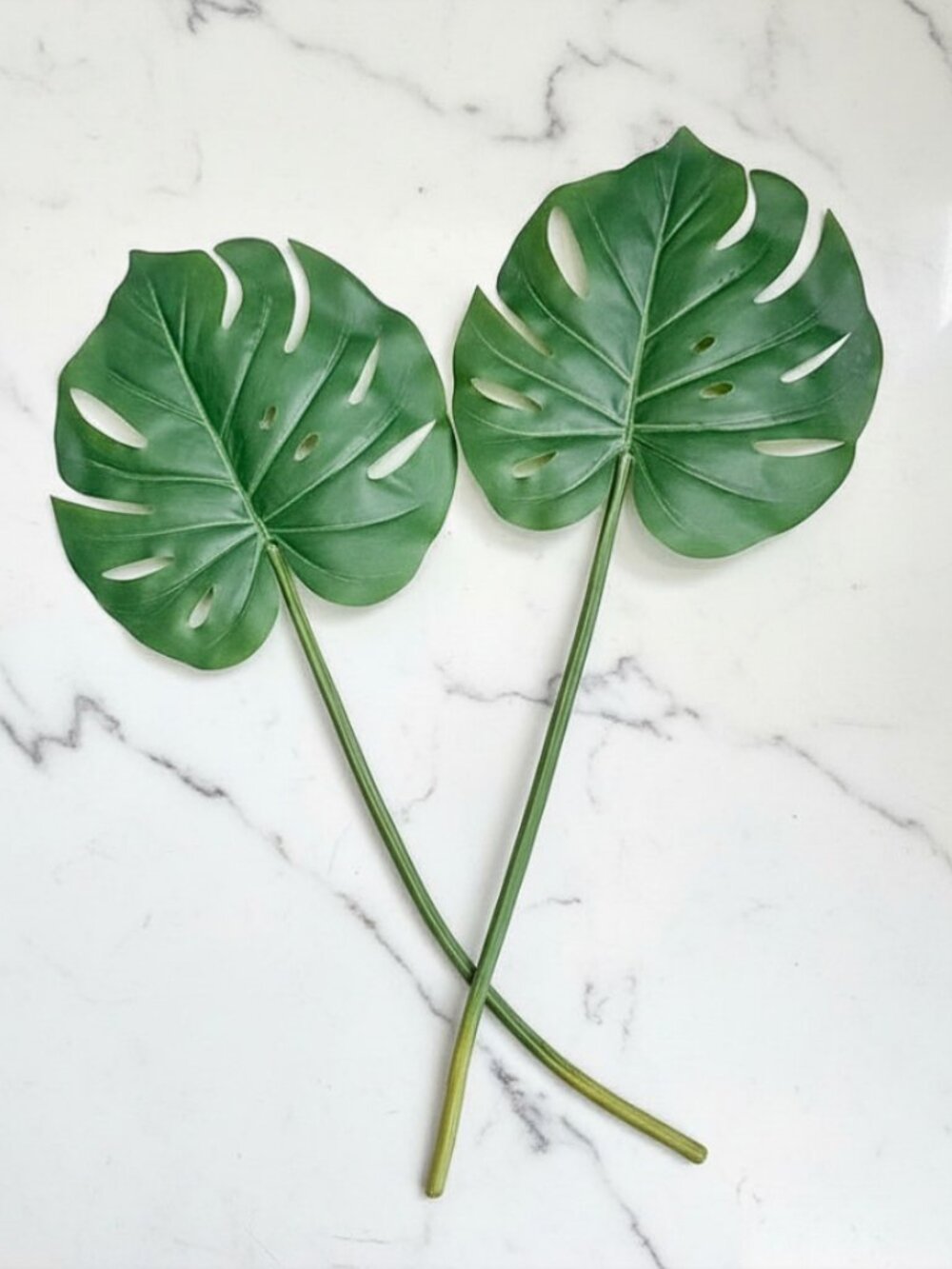 Set/2 Monstera Leaf Stems